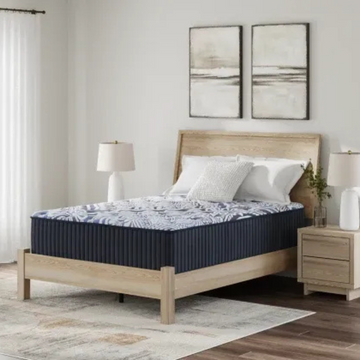Firm Luxe 2.0 Queen Mattress 2