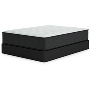Palisades Plush Mattress 8